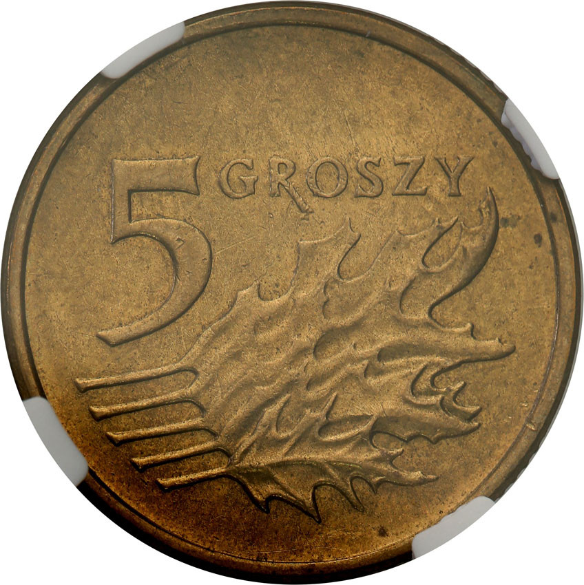 III RP. 5 groszy 2004 NGC MINT ERROR NGC MS62 - skrętka